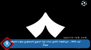تردد 2025 .. أبرز قنوات النايل سات تبث الدوري السعودي بجودة فائقة مجانًا